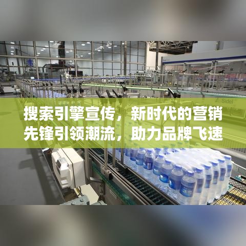 搜索引擎宣传，新时代的营销先锋引领潮流，助力品牌飞速成长！
