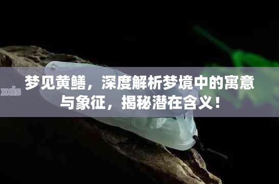 梦见黄鳝，深度解析梦境中的寓意与象征，揭秘潜在含义！