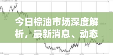 今日棕油市场深度解析，最新消息、动态、价格走势及影响因素全解析