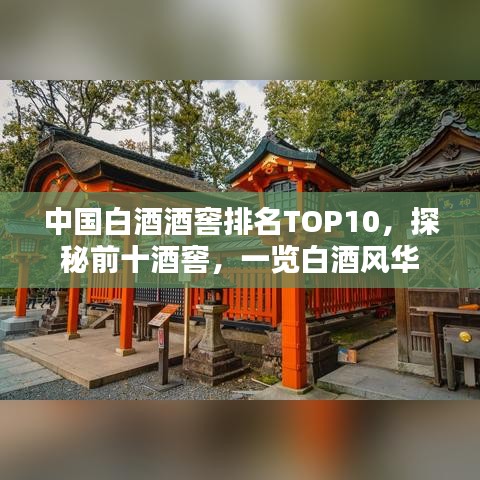 中国白酒酒窖排名TOP10，探秘前十酒窖，一览白酒风华