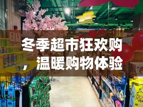 冬季超市狂欢购，温暖购物体验，欢乐满载盛宴
