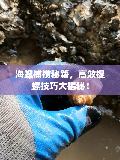 海螺捕捞秘籍，高效捉螺技巧大揭秘！