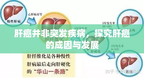 肝癌并非突发疾病，探究肝癌的成因与发展