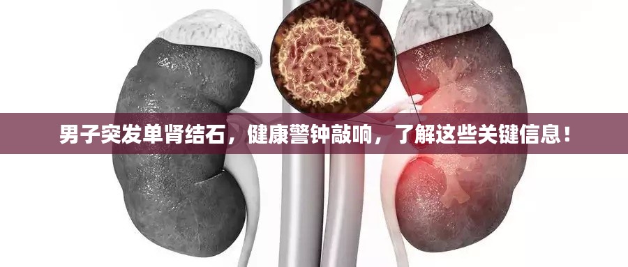 男子突发单肾结石，健康警钟敲响，了解这些关键信息！