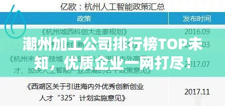 潮州加工公司排行榜TOP未知，优质企业一网打尽！