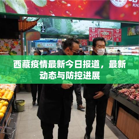 西藏疫情最新今日报道，最新动态与防控进展