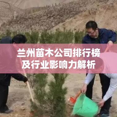 张弛不定 第2页