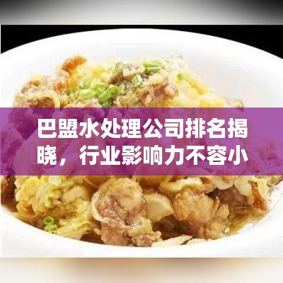 巴盟水处理公司排名揭晓，行业影响力不容小觑