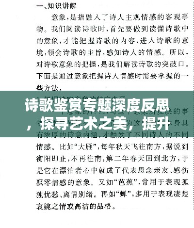 诗歌鉴赏专题深度反思，探寻艺术之美，提升鉴赏能力