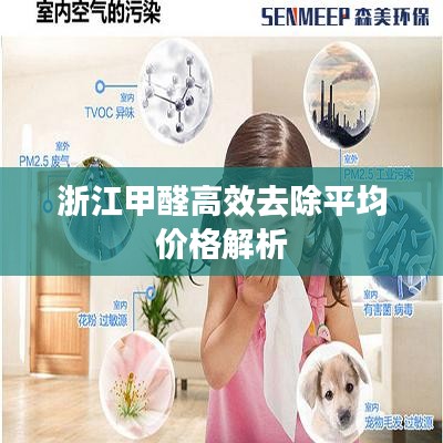 浙江甲醛高效去除平均价格解析