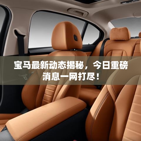宝马最新动态揭秘，今日重磅消息一网打尽！