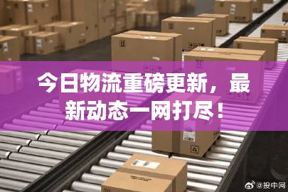 今日物流重磅更新，最新动态一网打尽！