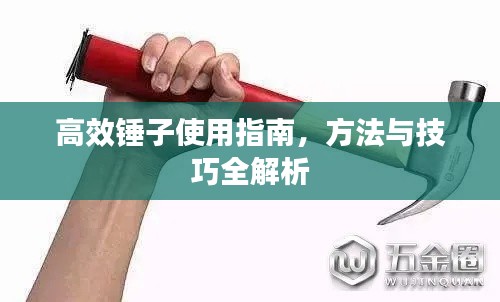 高效锤子使用指南，方法与技巧全解析
