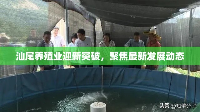 汕尾养殖业迎新突破，聚焦最新发展动态