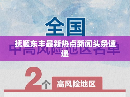 抚顺东丰最新热点新闻头条速递