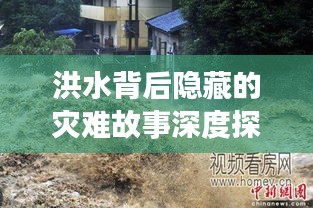 洪水背后隐藏的灾难故事深度探究
