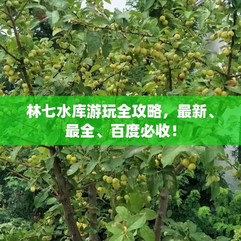 林七水库游玩全攻略，最新、最全、百度必收！