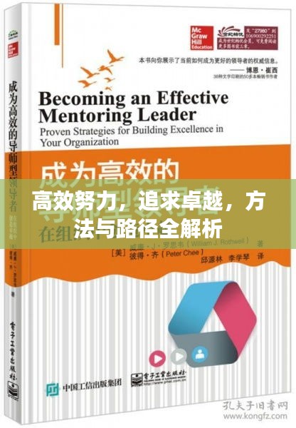 高效努力，追求卓越，方法与路径全解析