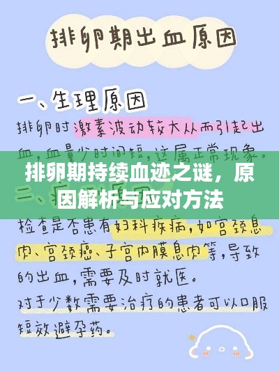 排卵期持续血迹之谜，原因解析与应对方法