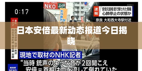 日本安倍最新动态报道今日揭晓