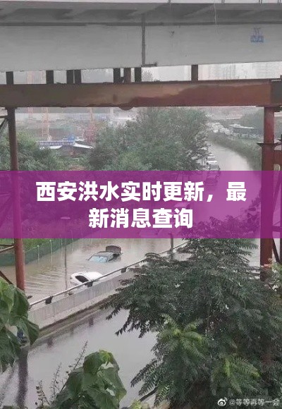 西安洪水实时更新，最新消息查询