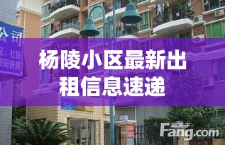 杨陵小区最新出租信息速递