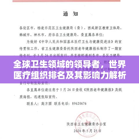 全球卫生领域的领导者，世界医疗组织排名及其影响力解析