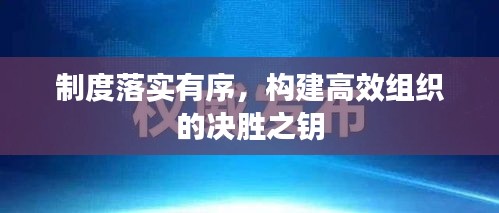 制度落实有序，构建高效组织的决胜之钥