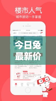今日兔最新价格揭秘，最新行情一目了然！