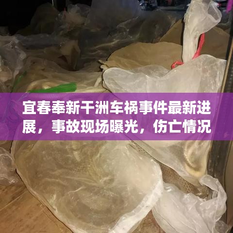 宜春奉新干洲车祸事件最新进展，事故现场曝光，伤亡情况令人揪心