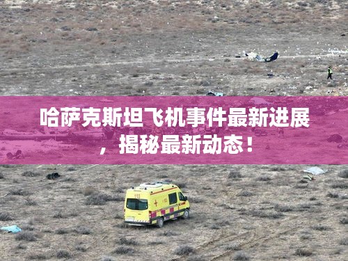 哈萨克斯坦飞机事件最新进展，揭秘最新动态！