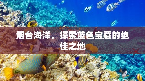 烟台海洋，探索蓝色宝藏的绝佳之地
