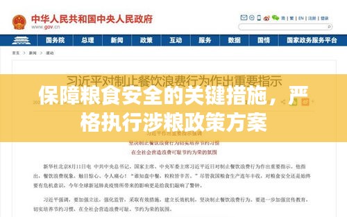 保障粮食安全的关键措施，严格执行涉粮政策方案