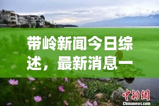 带岭新闻今日综述，最新消息一览无余