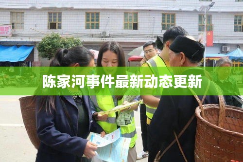 陈家河事件最新动态更新