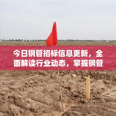 今日钢管招标信息更新，全面解读行业动态，掌握钢管招标动态