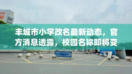 丰城市小学改名最新动态，官方消息透露，校园名称即将变更！
