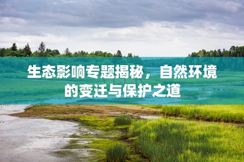 生态影响专题揭秘，自然环境的变迁与保护之道