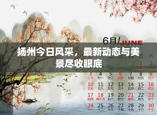 扬州今日风采，最新动态与美景尽收眼底
