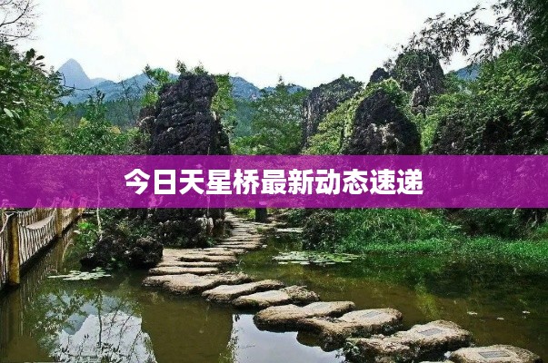 今日天星桥最新动态速递
