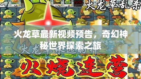 火龙草最新视频预告，奇幻神秘世界探索之旅