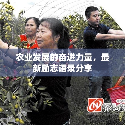 农业发展的奋进力量，最新励志语录分享