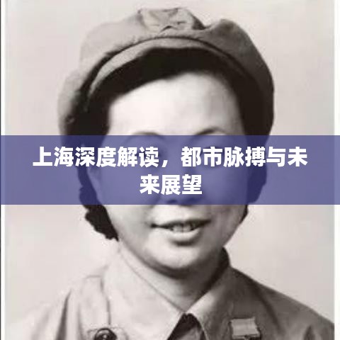 上海深度解读，都市脉搏与未来展望