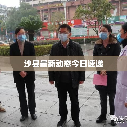 沙县最新动态今日速递