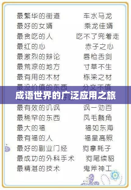 成语世界的广泛应用之旅