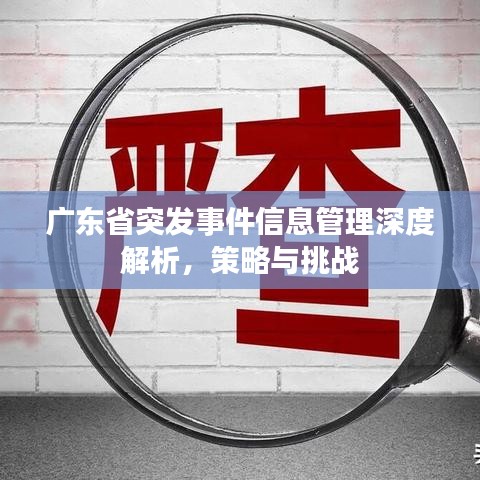 广东省突发事件信息管理深度解析，策略与挑战