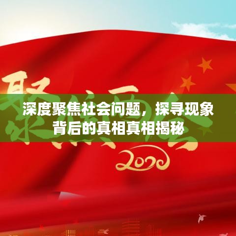 深度聚焦社会问题，探寻现象背后的真相真相揭秘