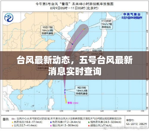 台风最新动态，五号台风最新消息实时查询