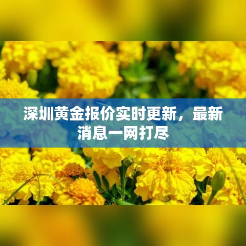 深圳黄金报价实时更新，最新消息一网打尽