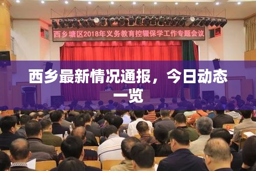 西乡最新情况通报，今日动态一览